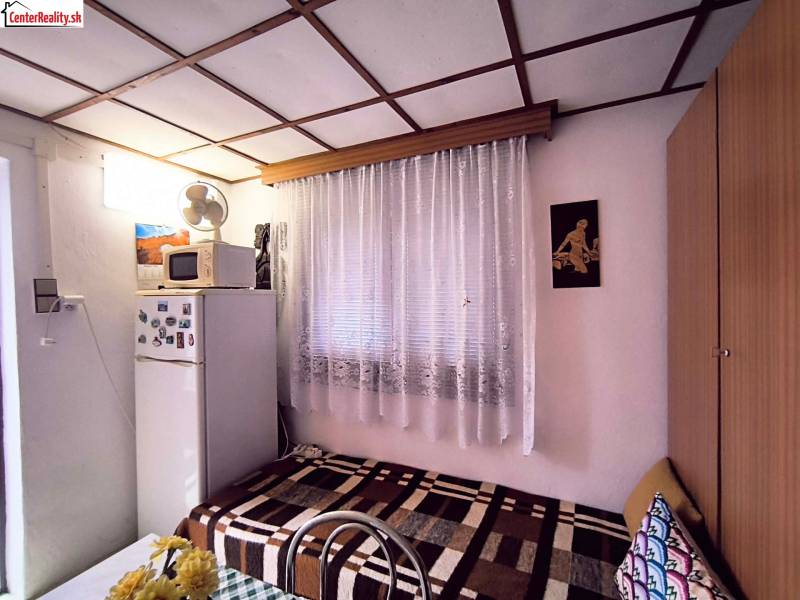 A cottage with a simple interior, a couch, a refrigerator, a microwave, and floral decorations.