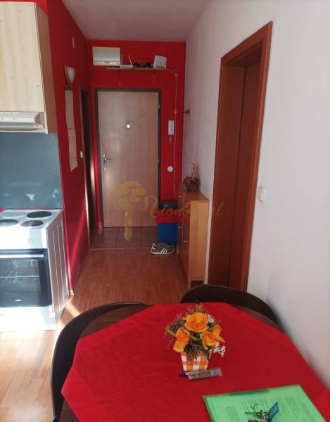 A one-room apartment with bold red walls and a wooden decor floor.