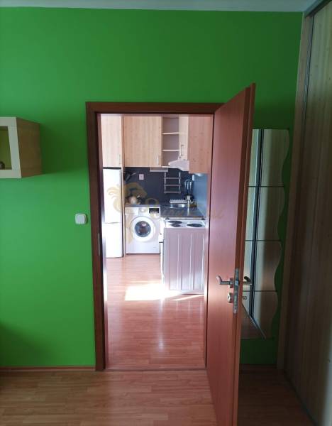 A one-room apartment with bright green walls and a wooden decor floor.