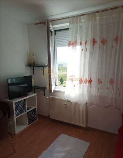 Room in a one-bedroom apartment, wooden decor flooring, television, open window with a view.