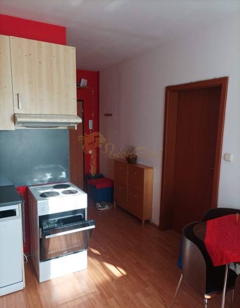 Kitchen in a studio apartment with a wood-patterned floor.