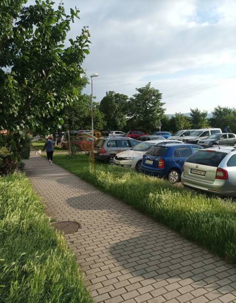 The sidewalk on Suvorovova Street in Pezinok, lined with cars and greenery.