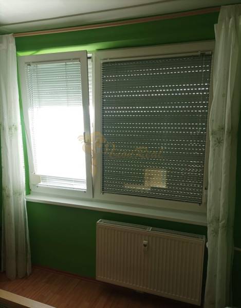 Green wall with windows, blinds, curtains, and a radiator in a studio apartment with wood-patterned flooring.