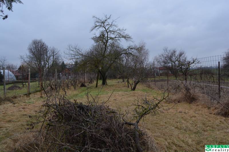 A garden by a family house in Abrahám with fruit trees and a grassy plot.