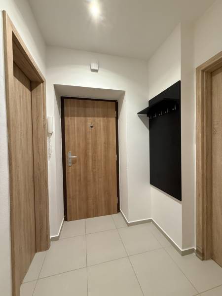 Entrance hallway in a 1-room apartment with a coat rack, wooden doors, and light-colored flooring.