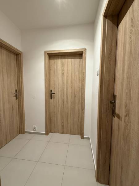 A corridor with three doors, tiles, and doors with a wooden decor, 1-room apartment.