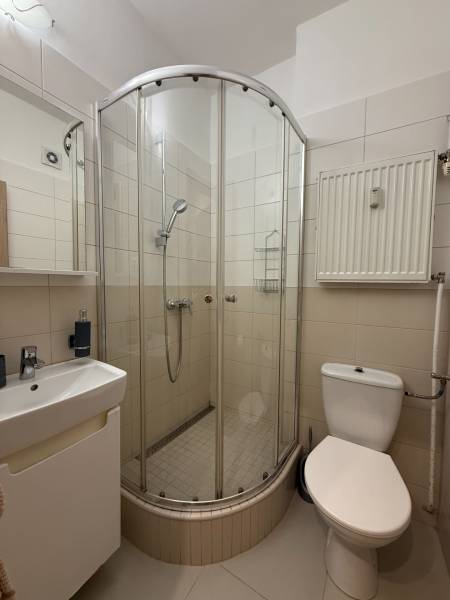 A bathroom in a studio apartment with a corner shower, sink, and toilet.