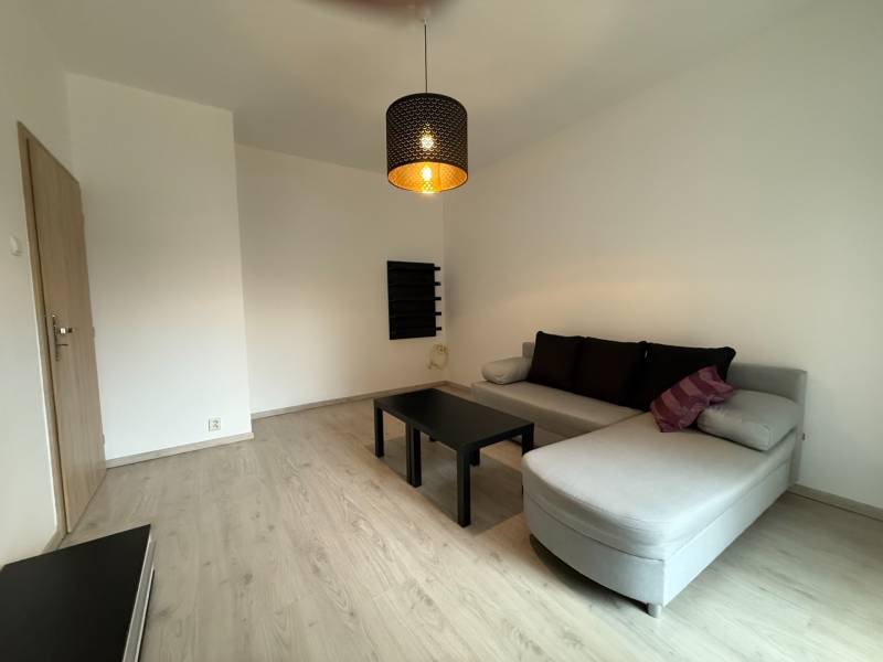 Living room with wood-patterned flooring, a convertible sofa, and minimalist furniture in a studio apartment.