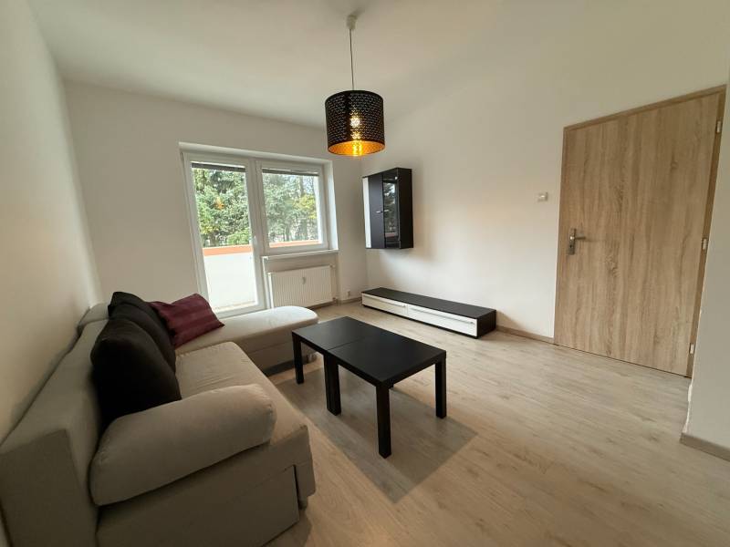Living room furnished with a sofa and a table, floor with wooden decor.