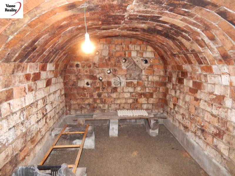 A basement with brick walls and an arched ceiling in a family house.