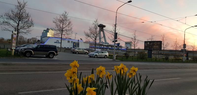 View of the SNP Bridge from Rázus Embankment, Bratislava - Old Town, with spring flowers.