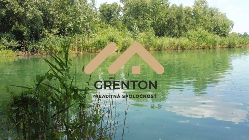 Green lake surrounded by vegetation in Bratislava - Ružinov on Studená near the cottage.