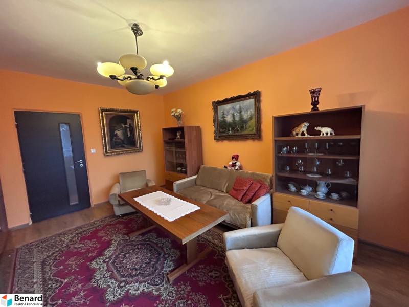 Living room in a two-room apartment with orange walls, a decorative carpet, and a wooden-patterned floor.