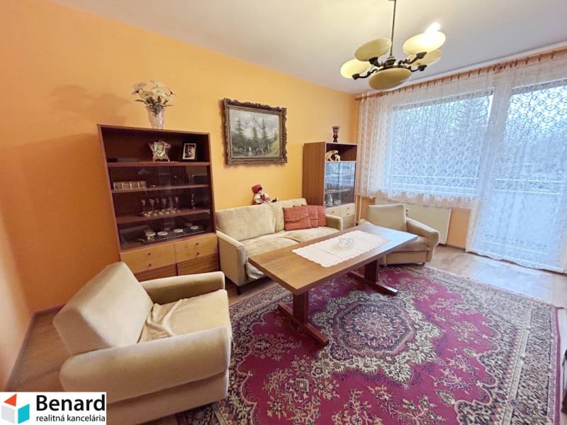 Living room in a two-room apartment with a wooden decor floor and a carpet.