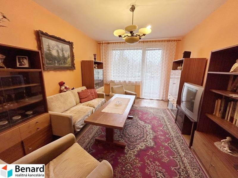 Living room in a two-room apartment with older furniture, a carpet, and decorative curtains.