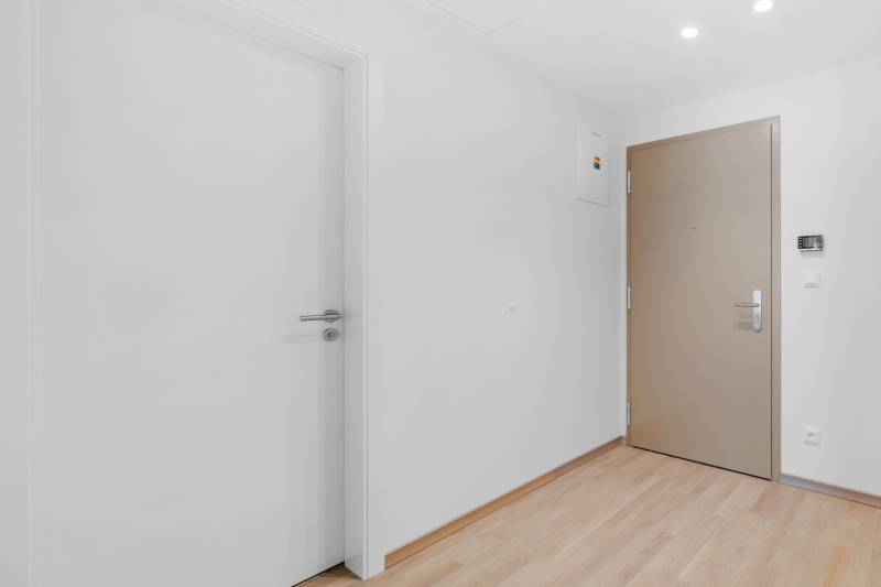 Entrance hallway of a 2-room apartment with a wooden decor floor and white walls.