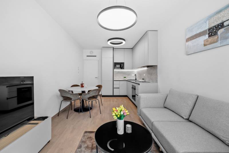 Living area of a 2-room apartment with a sofa, kitchen, and dining table, floor with wood decor.