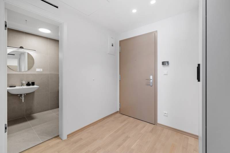 Entrance hall with wood-patterned flooring and bathroom in a 2-room apartment.