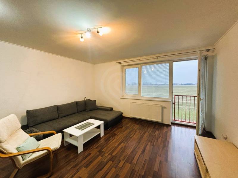 Living room in a two-room apartment with a wooden decor floor and a sofa.