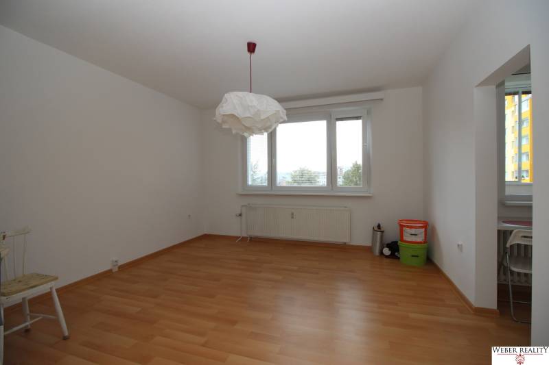 A bright room with wood-patterned flooring and a large window, studio apartment.