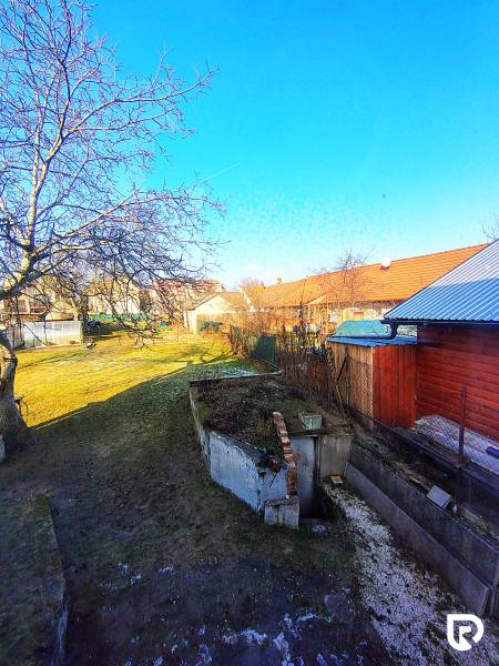 The garden at the family house on Sadová Street in Borský Mikuláš with a tree and an extension.