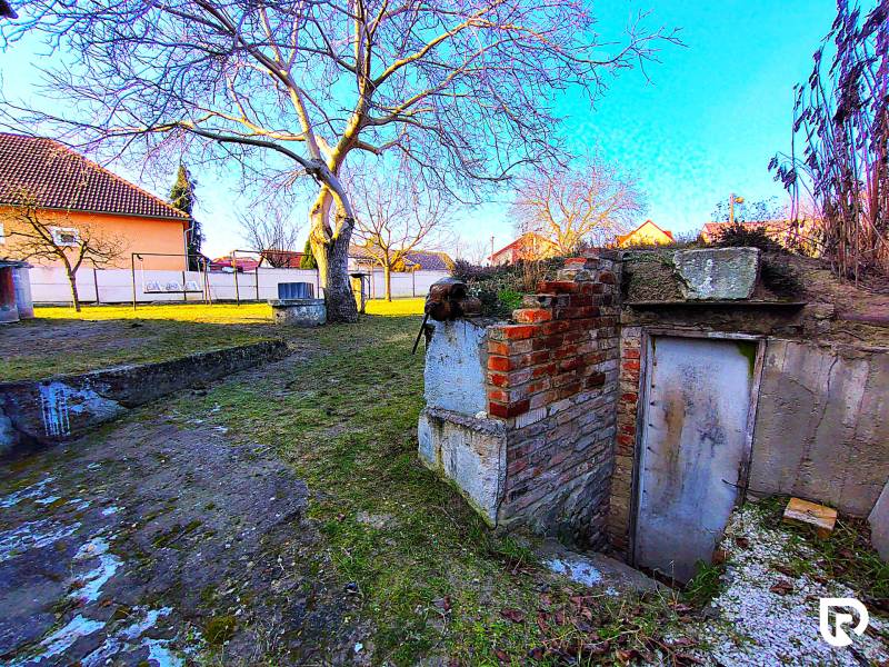 Garden with a cellar at the family house on Sadova Street in Borsky Mikulas.
