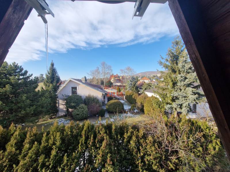 The garden of a family house overlooking Jelenecká Street in Nitra, surrounded by greenery.