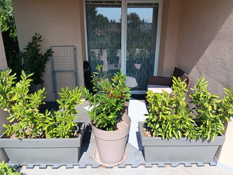 A family house with green plants on the balcony and rattan furniture.