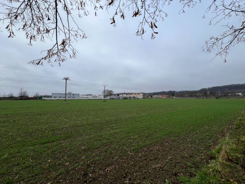 Greenery and buildings in Pruske, commercial plots spread in the background.
