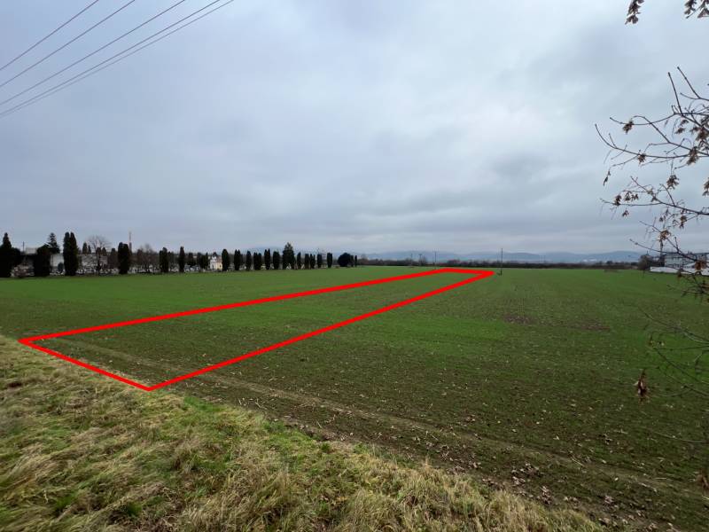 Green commercial land in Pruské, bordered by a red line in the photograph.