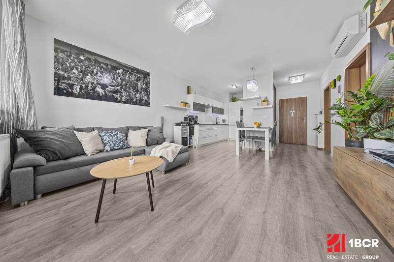 Living room in a two-room apartment with a wooden decor floor, gray sofa, and plants.