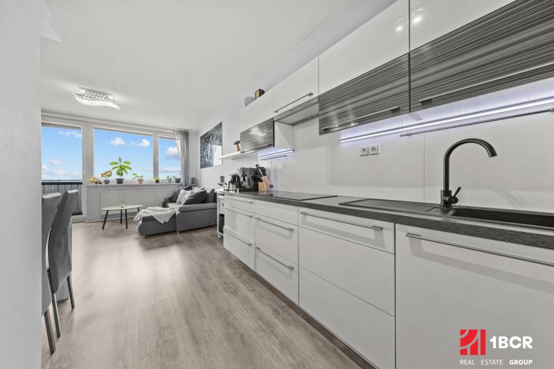 Kitchen and living room in a 2-room apartment with wood-patterned flooring.