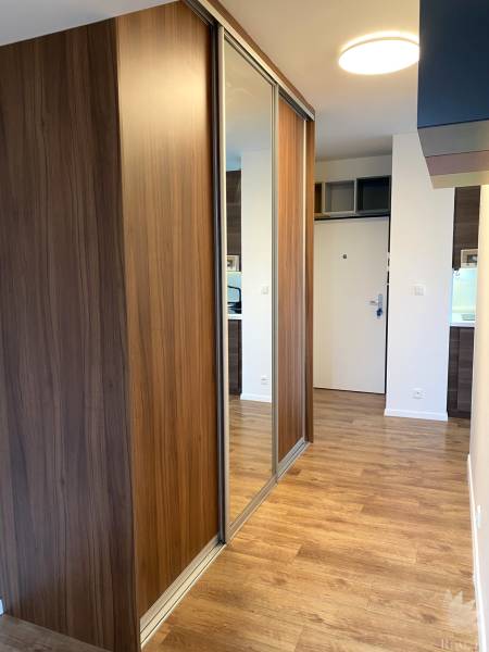 Entrance hall of a 3-room apartment with a wooden decor floor and a mirrored wardrobe.