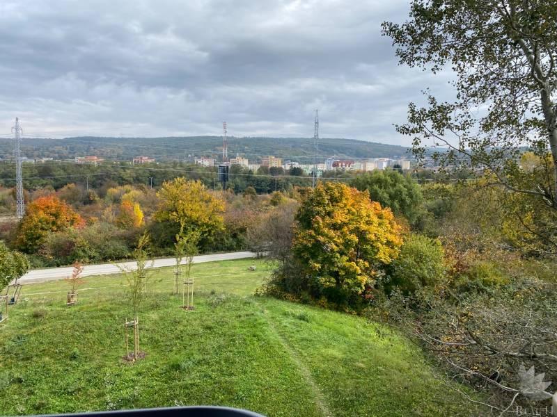 Autumn landscape in Bratislava - Dúbravka on Nejedlého, with colorful trees and a sky full of clouds.