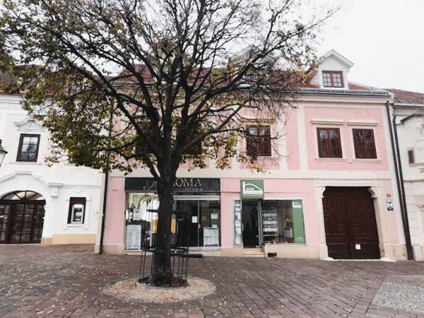 Commercial spaces on Hauptstraße in Eisenstadt with wooden decor, a tree, and historic buildings.