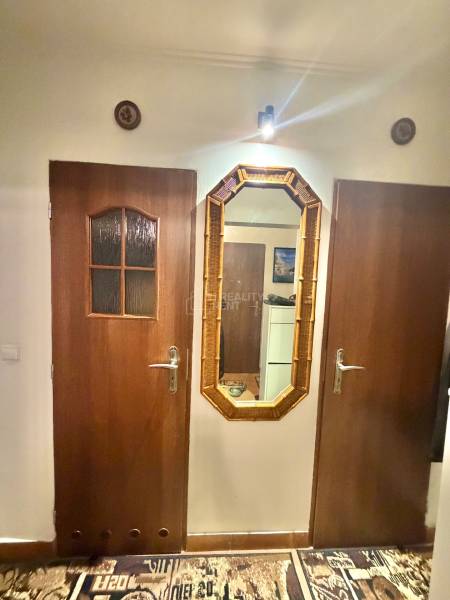 Wooden doors and a mirror in the hallway of a 2-room apartment interior with a decorative carpet.