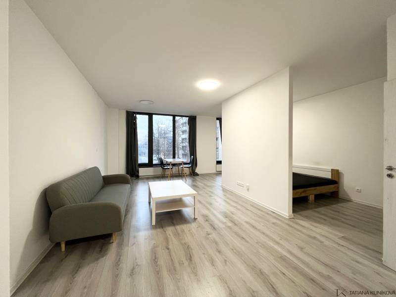 A one-bedroom apartment with a wooden decor floor, a sofa, and a dining area.