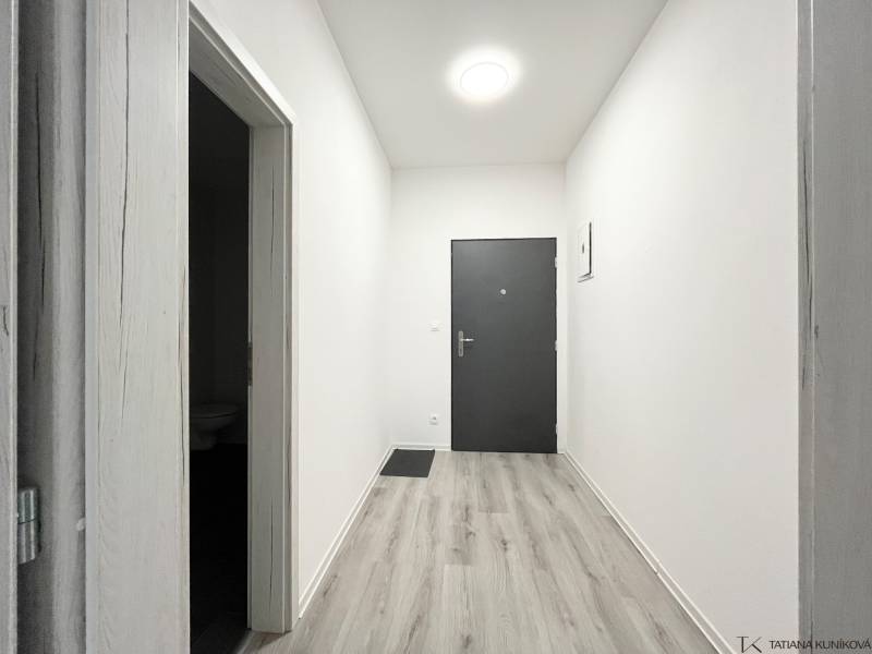 Entrance hallway of a one-room apartment, light walls, floor with wood decor.