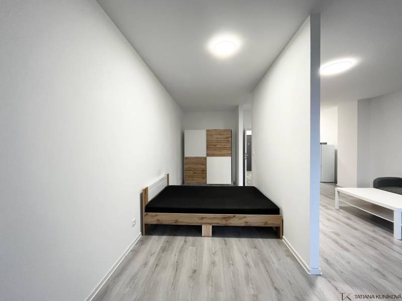 Interior of a 1-bedroom apartment with a wooden decor floor, bed, and wardrobe.