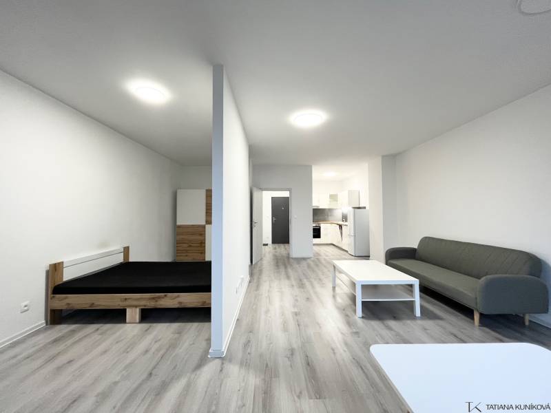 Interior of a 1-room apartment with a wooden decor floor, bed, and sofa.