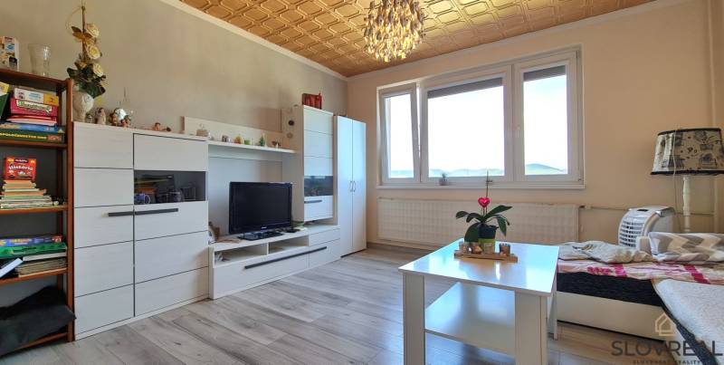 A room in a 2-room apartment with furniture, wood-patterned flooring, and decorations.