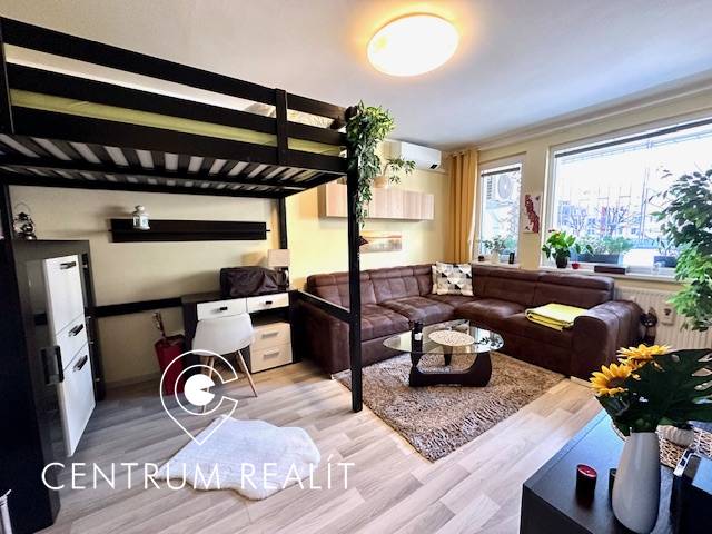 Living room with a bunk bed, sofa, and wood-patterned flooring in a studio apartment.