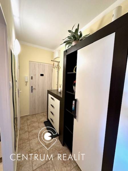 A cozy hallway with furniture and patterned tiles in a studio apartment.