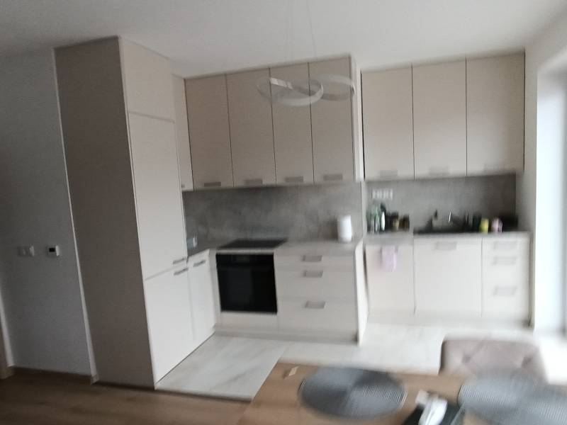 A kitchen in a 2-room apartment with minimalist cabinets and a wooden decor floor.