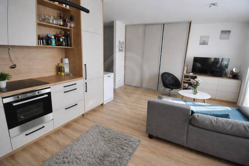 Interior of a 1-room apartment with a gray sofa, kitchen unit, and floor with wood decor.