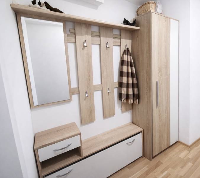 Entrance hallway in a 2-room apartment with wood-patterned flooring and storage space.