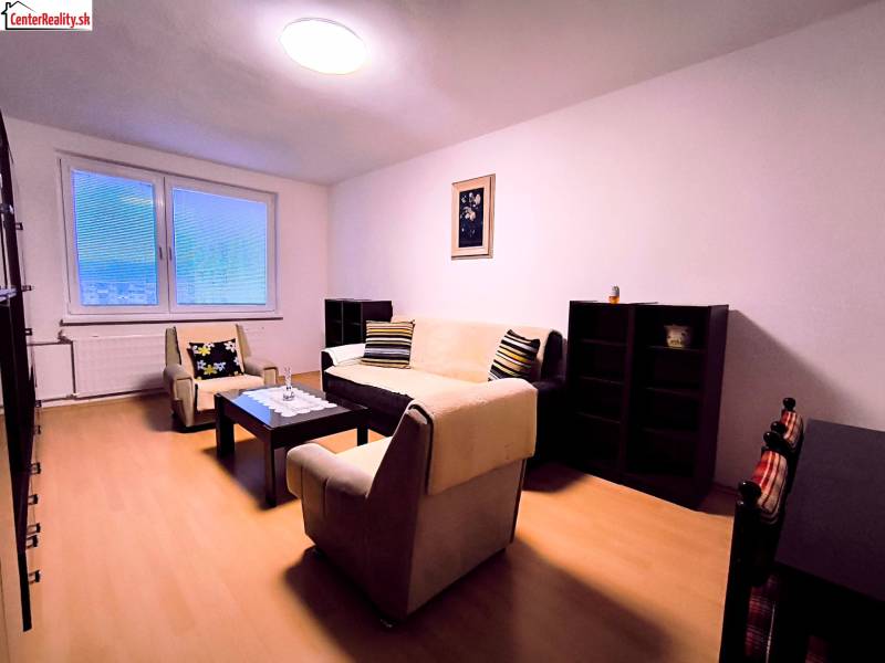 Living room in a 2-room apartment with minimalist furniture and a wooden decor floor.