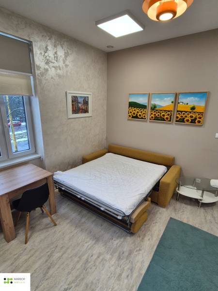 A room with a sofa bed, a table, and a chair, with a wooden decor floor.