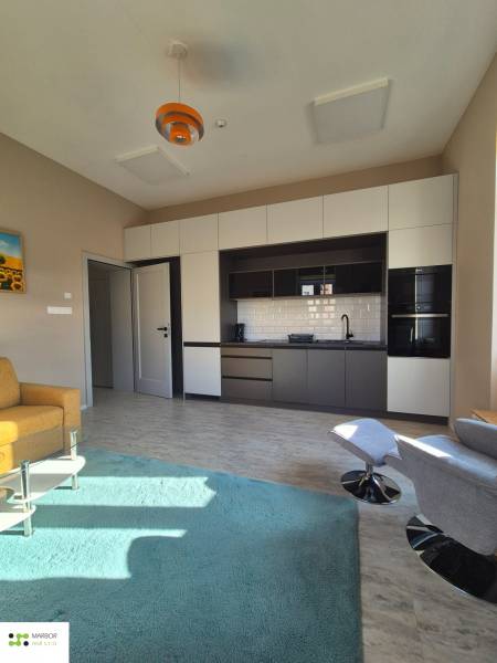Interior of a 1-room apartment with a kitchen unit, green carpet, and wooden decor flooring.