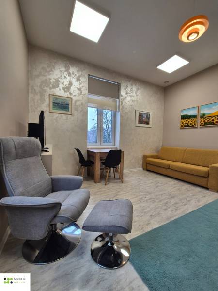 Living room of a one-room apartment with an armchair, sofa, and table, floor with wood decor.